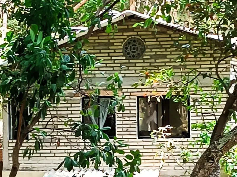 Front of the brick house with windows among the plants