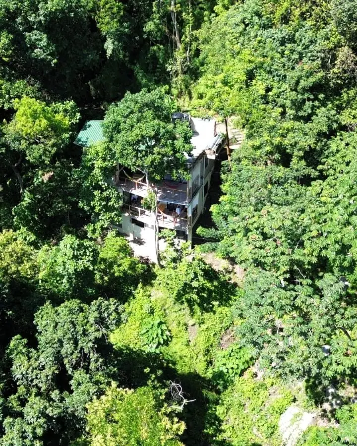 Aerial view of the house with its green roof, surrounded by dense tropical forest