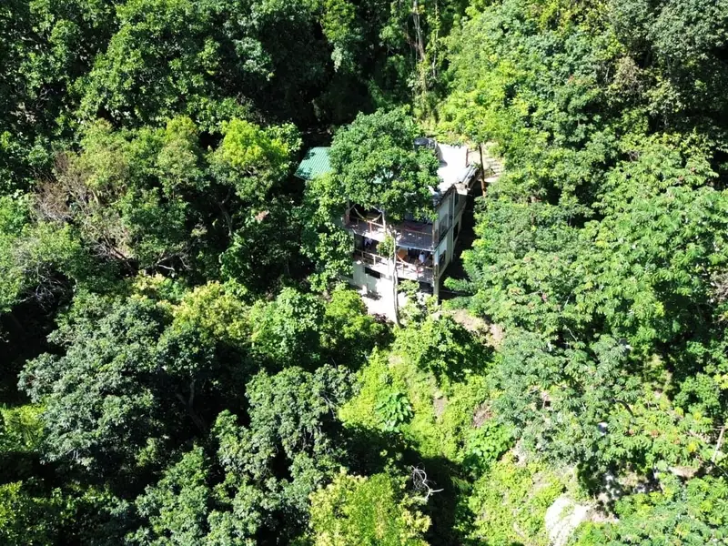 Aerial view of the house among the trees